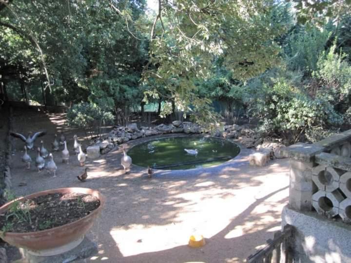 Parco Delle Streghe Villa Scarlino Exterior foto